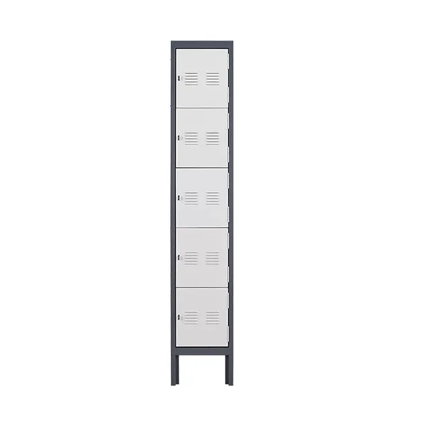 Color Matching Five Door Locker